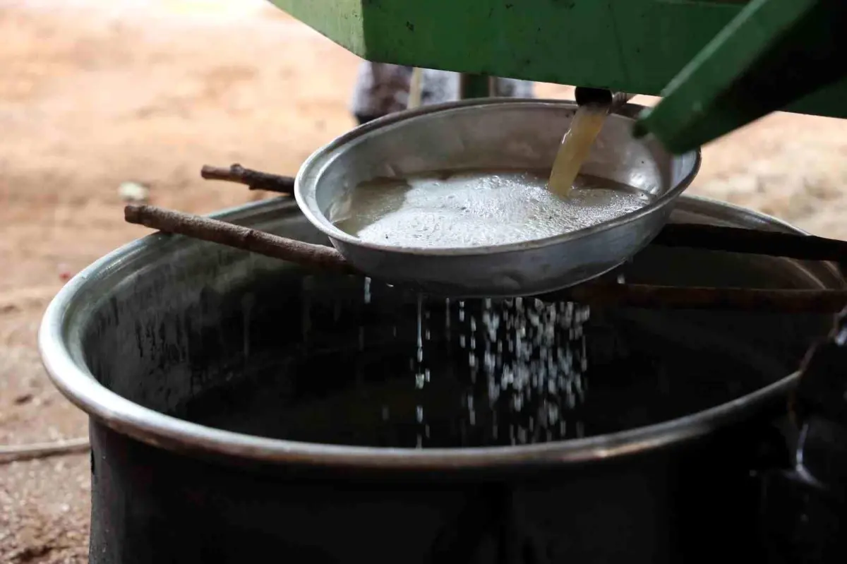 antalya buyuksehir belediyesinden elmaliya uzum sikma makinesi destegi 8187BPZr.jpg