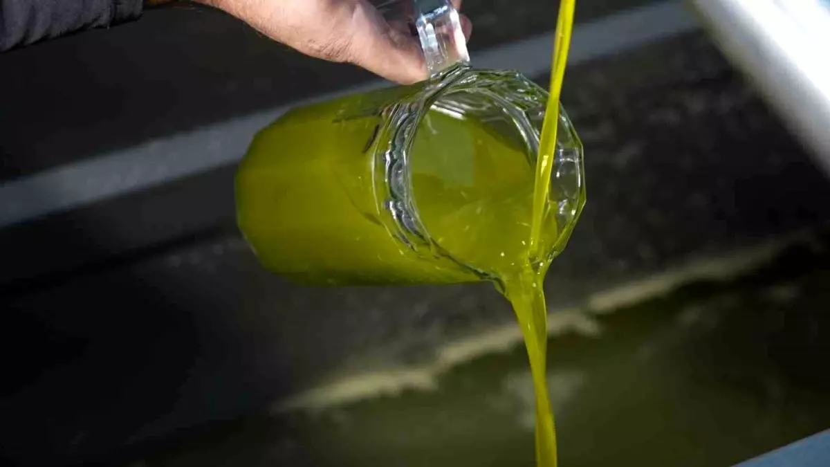 ayvalik ticaret odasi zeytinyaginda taklit ve tagsis sorunu K4AJAW4v.jpg