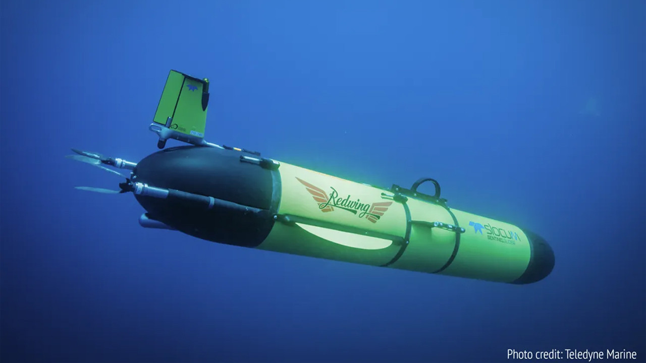 redwing okyanusun sirlarini cozmek icin 5 yillik yolcuguna basladi 6jBOapxZ