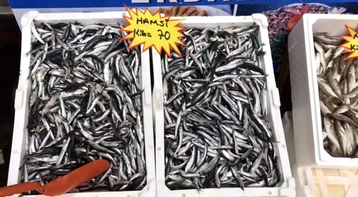 akcakoca balikci barinagi baskanindan taze balik uyarisi MN5kEtdf.jpg