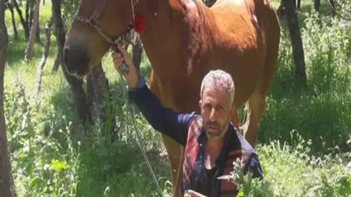 diyarbakirda babasini olduren saniga 15 yil verildi lDpCgXl2.jpg