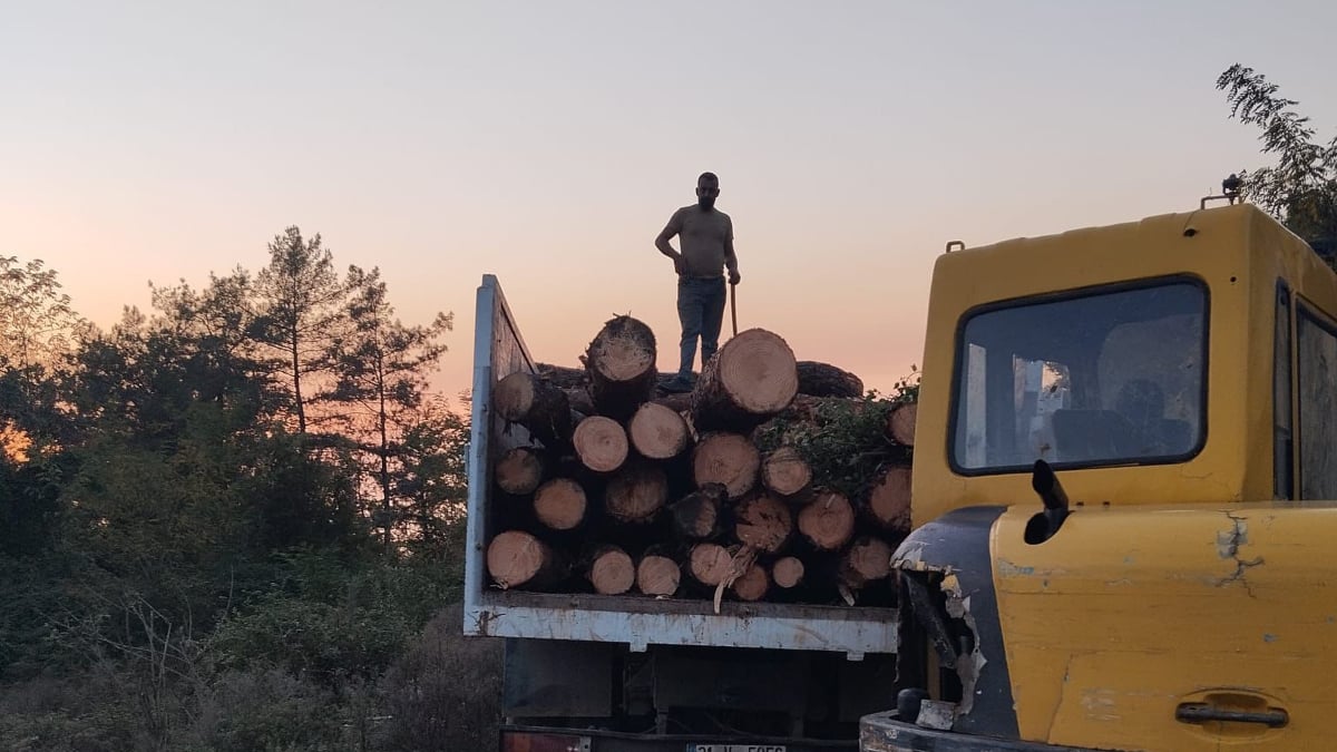 hatayda 20 adet kizilcam agaci kesilmis halde bulundu bh532aRD.jpg