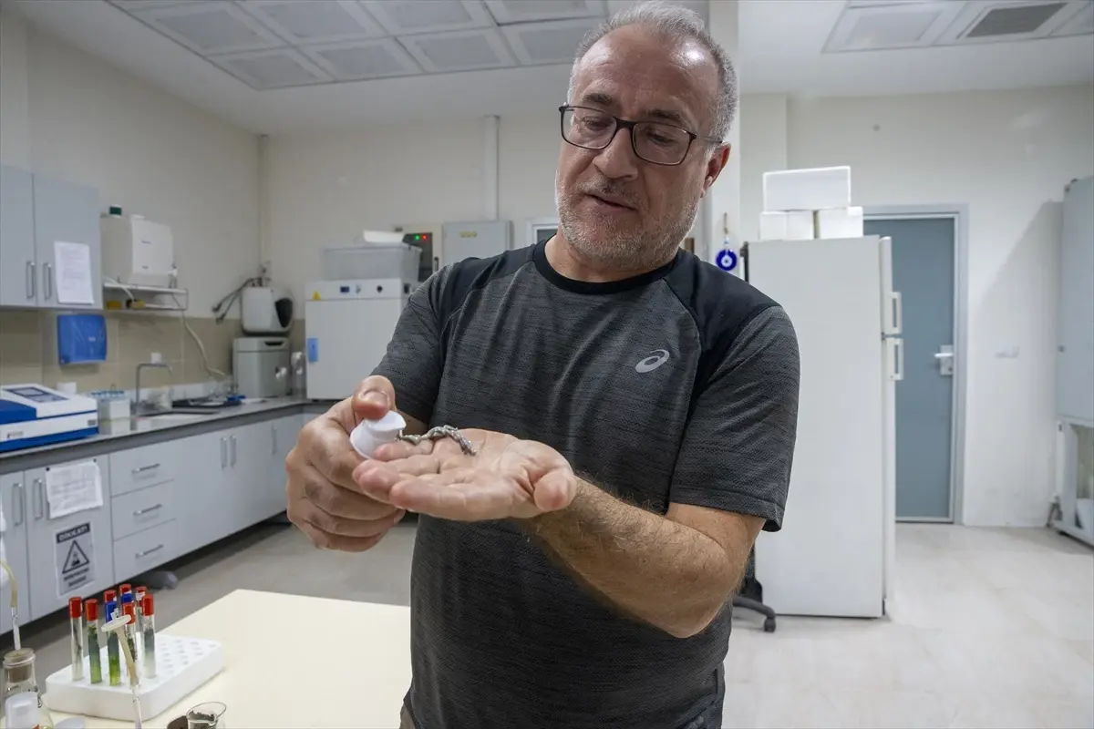 turk akademisyenler murekkep baligindan cilt onarici ve koruyucu gunes kremi uretti JZj4TTkR.jpg