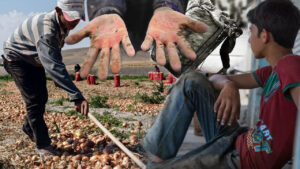 turkiyenin-kanayan-yarasi-cocuk-isciliginin-karanlik-tablosu-2Wv9VyTZ